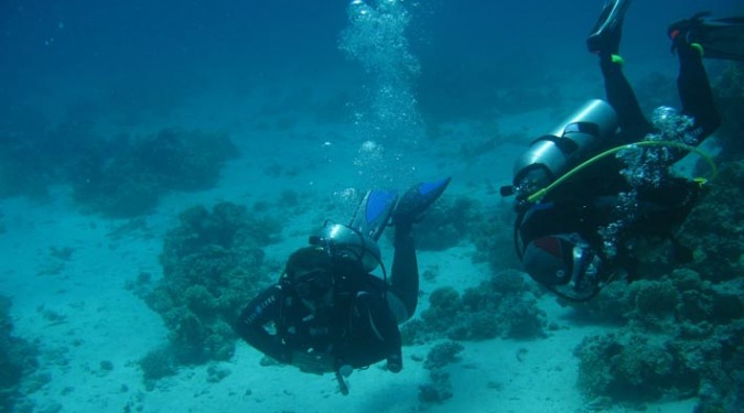 Plongée sous-marine (en mer)